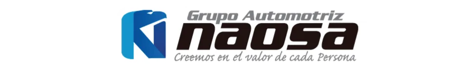 Logo de Naosa