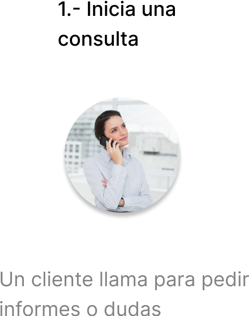 paso 1: consulta