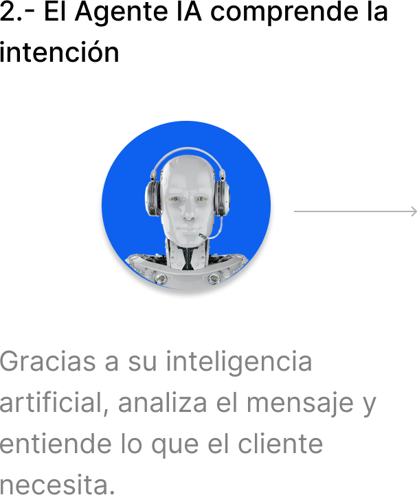 paso 2: agente comprende solución